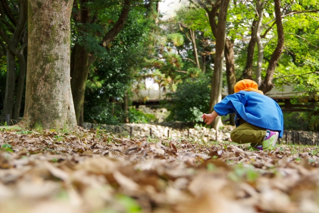 落ち葉を拾う子ども