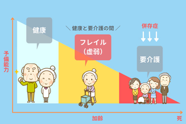 成人向けの予防ケアの一環として、どのような種類の検査、スクリーニング、サービスが行われますか?