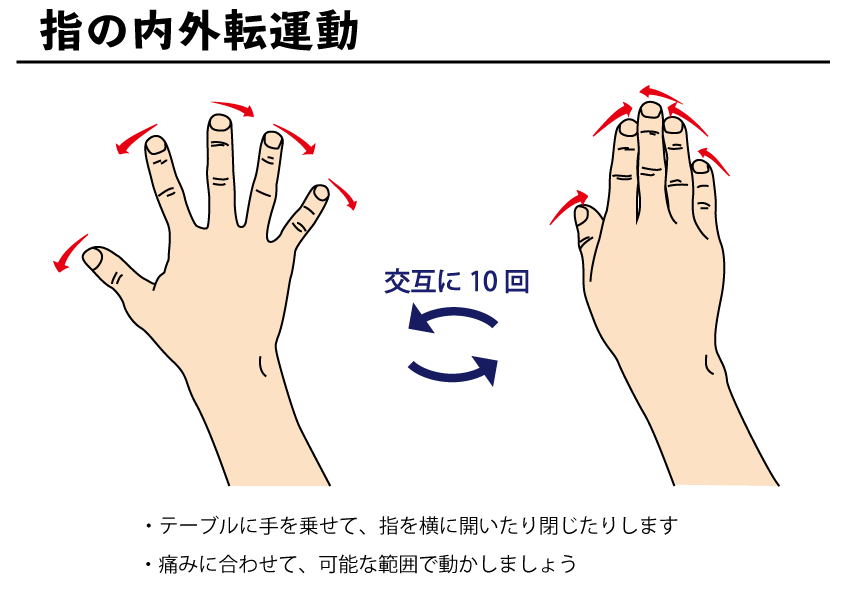 指の内外転運動の図